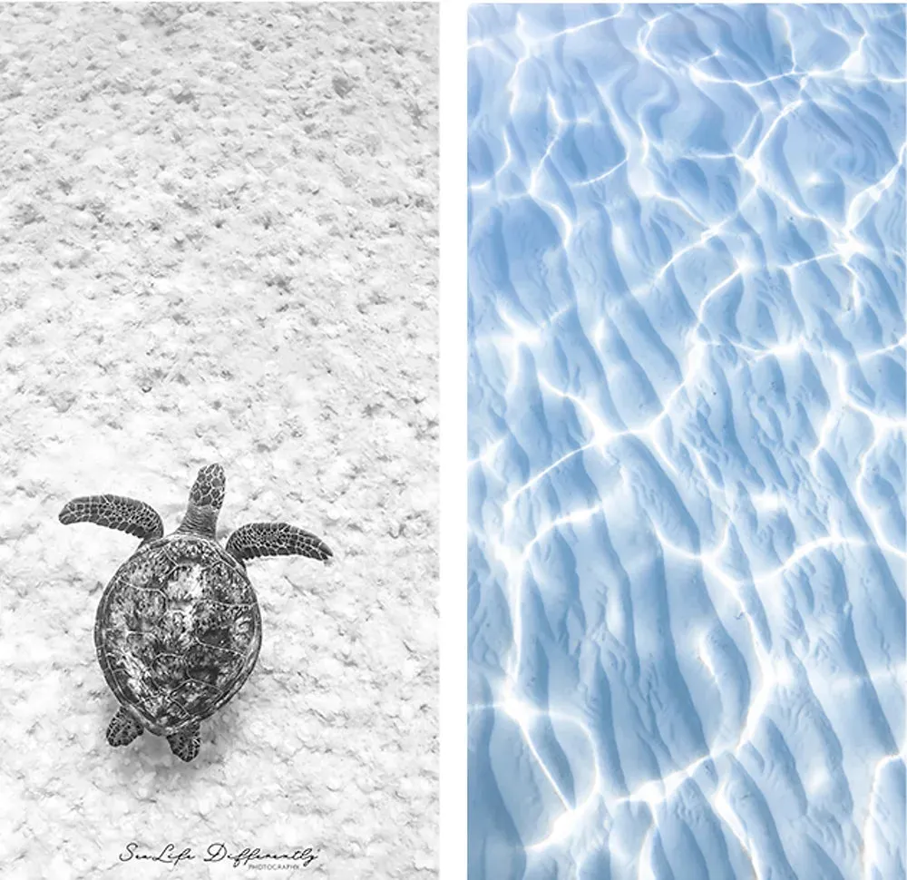 Sand Free Beach Towels